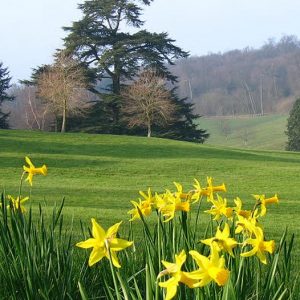 Discover Late Spring Discount Bundle