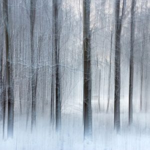 Discover Winter Discount Bundle